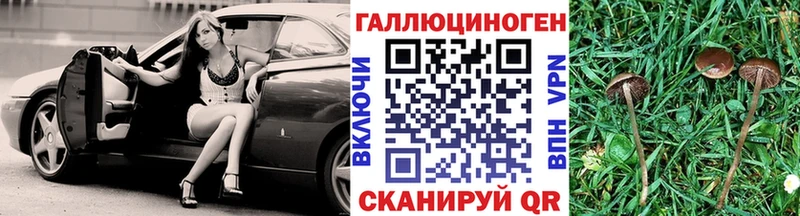 Псилоцибиновые грибы мицелий  Меленки 